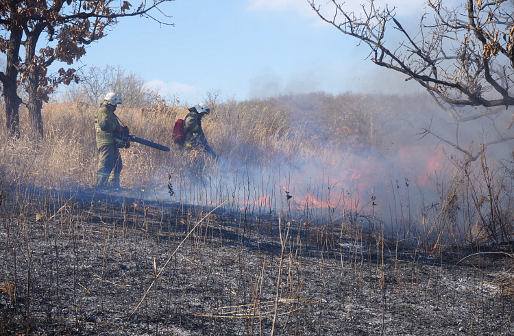 62 административных дела о нарушении пожарной безопасности возбуждено в Приморье.