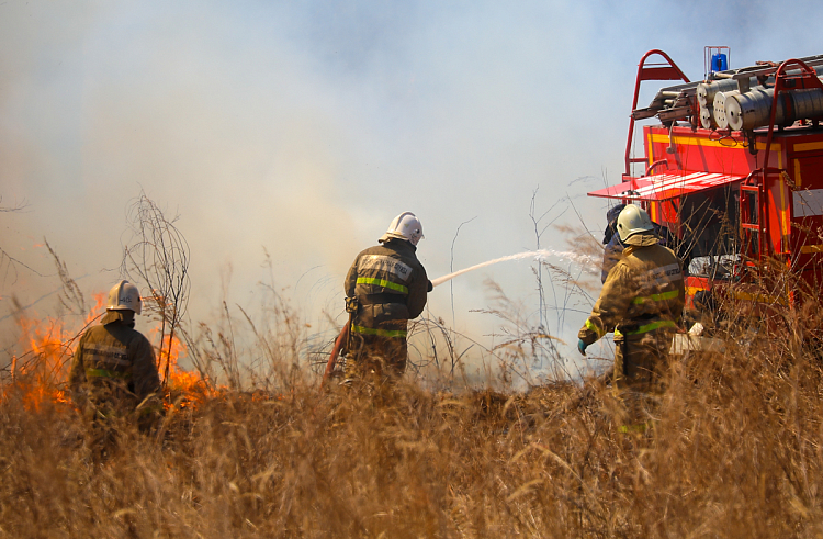Стали известны сроки начала пожароопасного сезона в Лазовском округе.