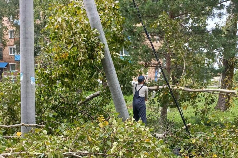 Более 300 человек и почти 200 единиц техники восстанавливают Приморье после тайфуна.