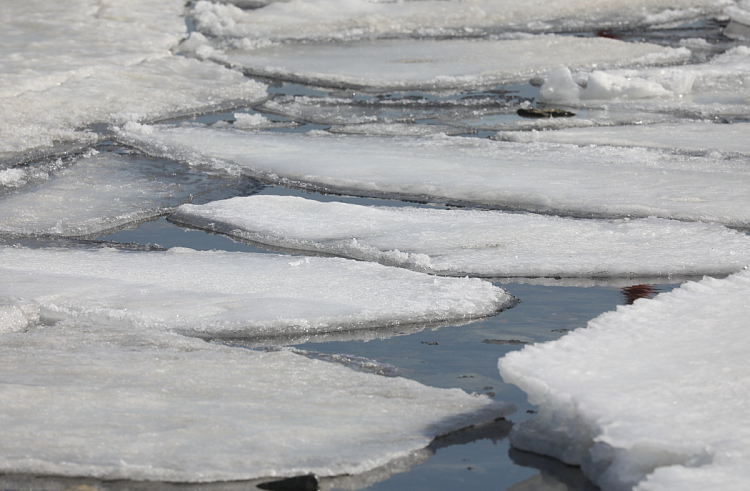 Смертельная опасность грозит жителям округа при выходе на лед. МинГОЧС Приморья предупреждает.