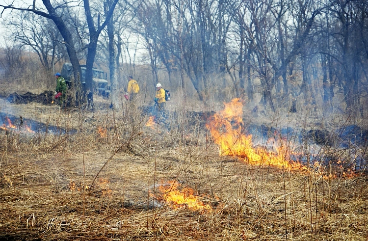 За минувшие выходные на территории округа было зафиксировано 5 случаев пожара.